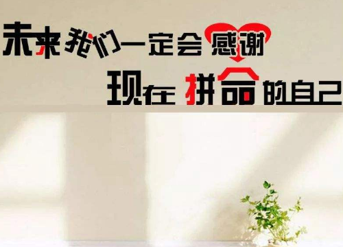 创业成功人物
