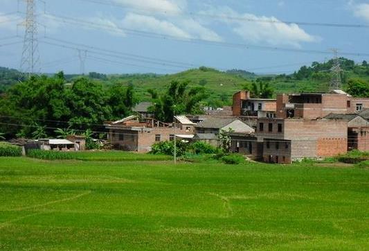 盘点农村创业年入百万的十大杰出人物,最后一位家喻户晓