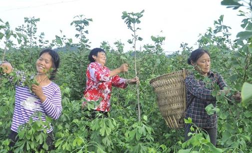 盘点农村创业年入百万的十大杰出人物,最后一位家喻户晓
