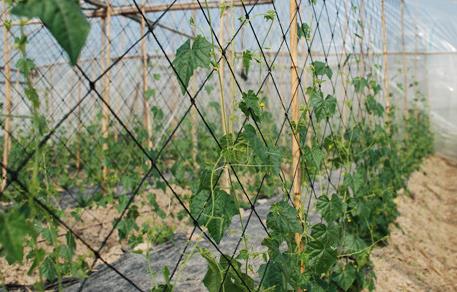 盘点农村创业年入百万的十大杰出人物,最后一位家喻户晓