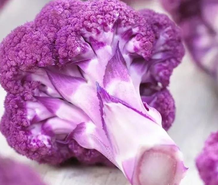 6旬老人种植紫色西蓝花一年收入20多万