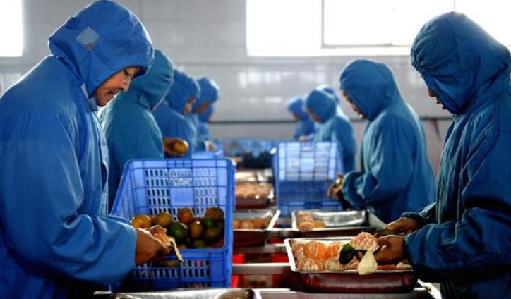 想在农村开办一个“小型加工厂”,不知道做什么好?来看看这几个