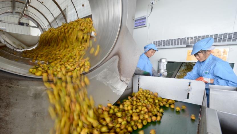 想在农村开办一个“小型加工厂”,不知道做什么好?来看看这几个